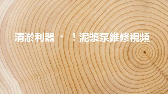 清淤利器！泥漿泵維修視頻，教你輕松解決淤塞難題！